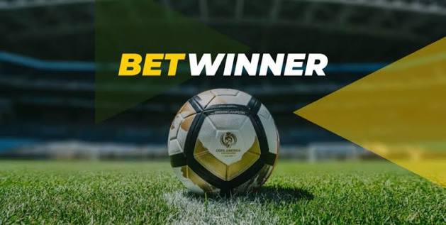 Discover BetWinner The Ultimate Betting Experience