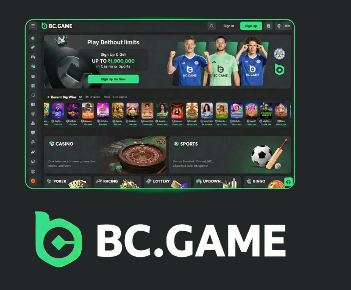 Exploring the Exciting World of BC.Game Hash.Game Casino